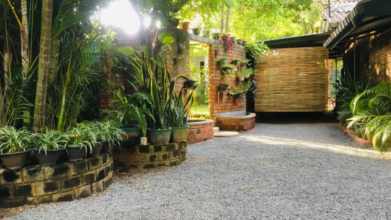 Mowgli Cottage Sigiriya Dış mekan fotoğraf